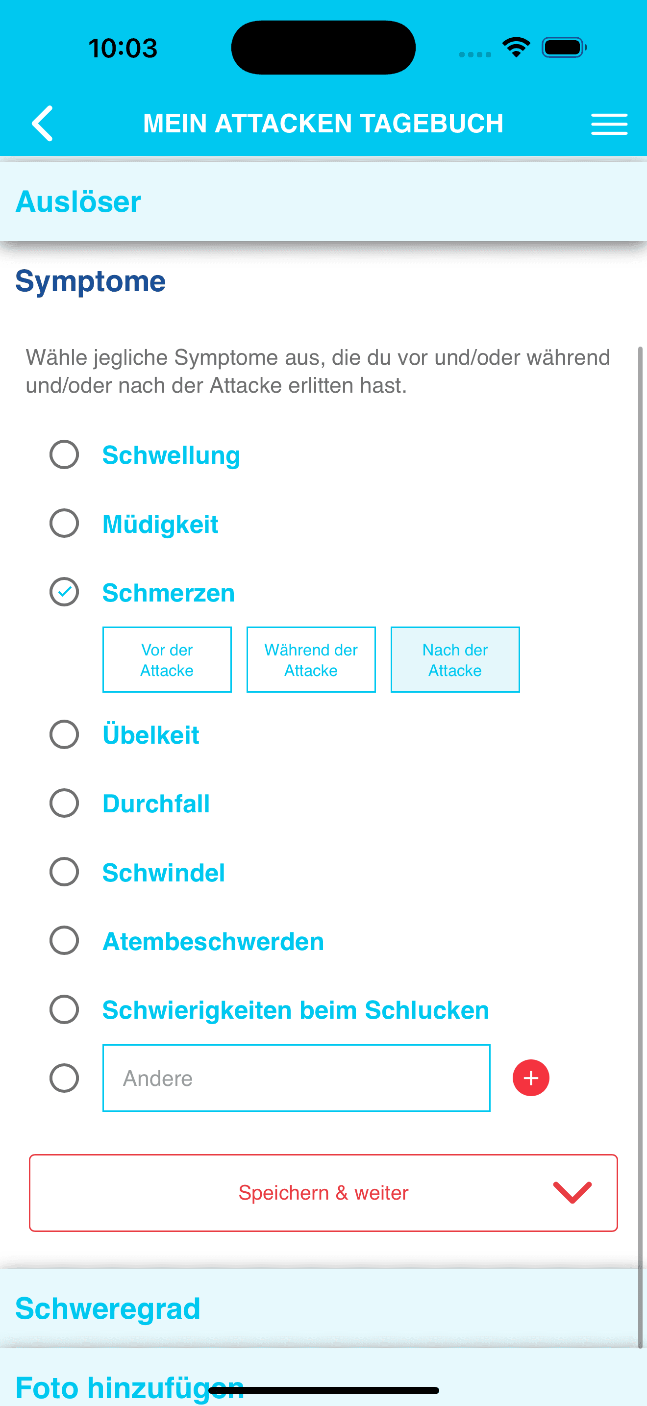 Anonymisierte iOS-Attackendokumentation mit Auslösern Symptomen Schweregrad und Foto-Upload